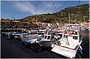 giglio04_0019.jpg