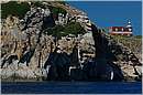 giglio04_0096.jpg