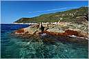 giglio04_0100.jpg