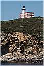 giglio_2079.jpg