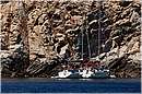 giglio_2080.jpg
