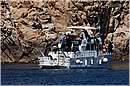 giglio_2086.jpg