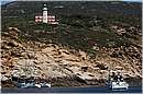 giglio_2088.jpg