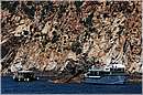 giglio_2120.jpg