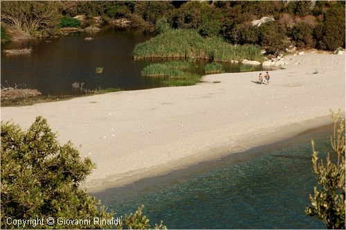 golfodiorosei_8867.jpg