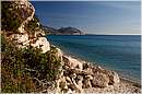 golfodiorosei_8890.jpg