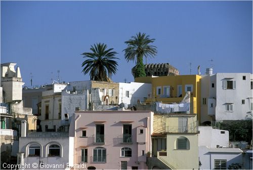 ischia0089.jpg