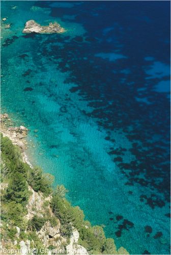 nerano0011.jpg