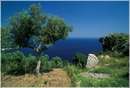 nerano0010.jpg