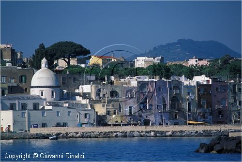 procida0038.jpg