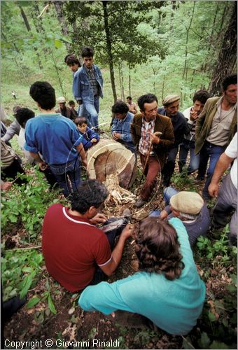 ITALY - ACCETTURA (MT)
"Matrimonio degli alberi" per San Giuliano (dall'ascensione al marted dopo la Pentecoste)
prima fase: taglio del maggio nel bosco di Montepiano (ascensione)