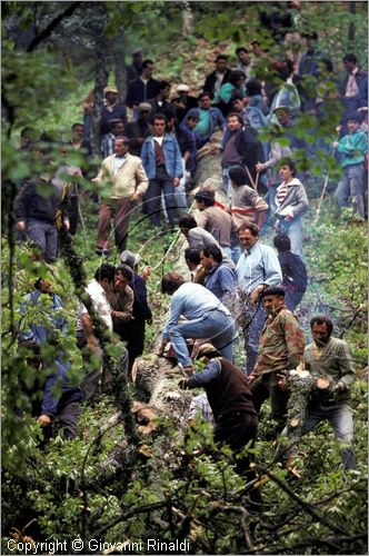 ITALY - ACCETTURA (MT)
"Matrimonio degli alberi" per San Giuliano (dall'ascensione al marted dopo la Pentecoste)
prima fase: taglio del maggio nel bosco di Montepiano (ascensione)