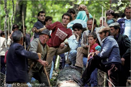 ITALY - ACCETTURA (MT)
"Matrimonio degli alberi" per San Giuliano (dall'ascensione al marted dopo la Pentecoste)
prima fase: taglio del maggio nel bosco di Montepiano (ascensione)