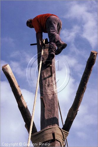 ITALY - ACCETTURA (MT)
"Matrimonio degli alberi" per San Giuliano (dall'ascensione al marted dopo la Pentecoste)
terza fase: erezione del Maggio