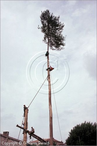 ITALY - ACCETTURA (MT)
"Matrimonio degli alberi" per San Giuliano (dall'ascensione al marted dopo la Pentecoste)
terza fase: erezione del Maggio