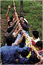 accettura0005.jpg
