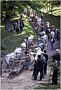 accettura0019.jpg
