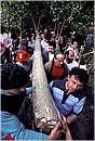 accettura0025.jpg