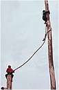 accettura0052.jpg