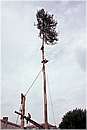 accettura0053.jpg