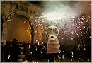 ballopupa0013.jpg