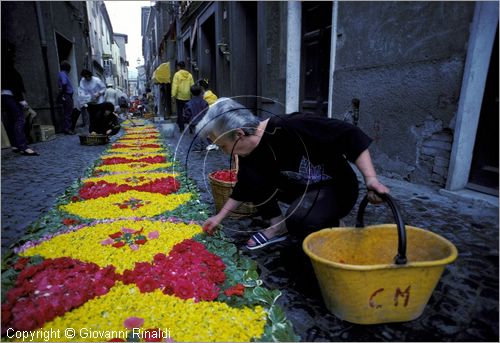 ITALY - BOLSENA (VT)
Infiorata e Processione del Corpus Domini
preparazione