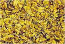 bolsenainfiorata0011.jpg