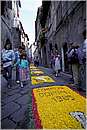 bolsenainfiorata0019.jpg