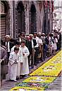 bolsenainfiorata0020.jpg
