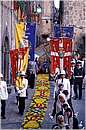 bolsenainfiorata0029.jpg
