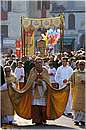 bolsenainfiorata0031.jpg