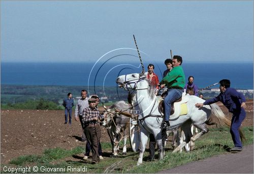 ITALY - CHIEUTI (FG)
Corsa dei Carri trainati dai buoi (21-23 aprile)
partenza delle prove