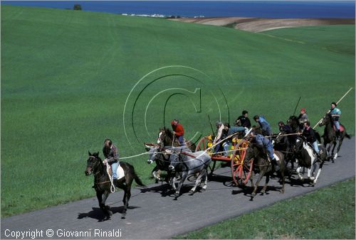 ITALY - CHIEUTI (FG)
Corsa dei Carri trainati dai buoi (21-23 aprile)
lungo il percorso delle prove