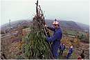 focarazza0003.jpg