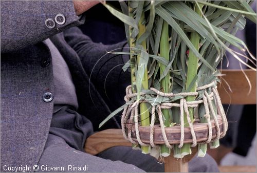 ITALY - GANGI (PA)
Festa delle Palme (domenica delle palme)
preparazione