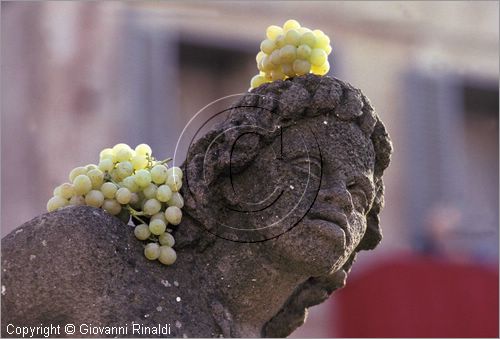 ITALY - MARINO (RM) - Sagra dell'uva (prima decade di ottobre) - fontana addobbata