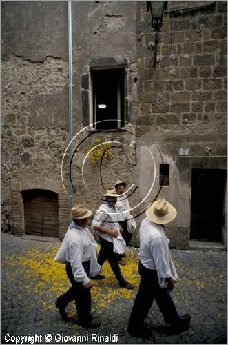 ITALY - MARTA (VT)
Festa della Madonna del Monte (14 maggio)
la festa celebra la fertilit della terra. Le antiche corporazioni
(Casenghi, Bifolchi, Villani e Pescatori) sfilano con i carri allegorici (le "Fontane") per le vie del paese e raggiungono il santuario della Madonna del Monte