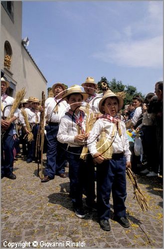 ITALY - MARTA (VT)
Festa della Madonna del Monte (14 maggio)
la festa celebra la fertilit della terra. Le antiche corporazioni
(Casenghi, Bifolchi, Villani e Pescatori) sfilano con i carri allegorici (le "Fontane") per le vie del paese e raggiungono il santuario della Madonna del Monte