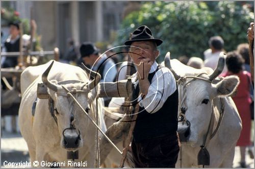 ITALY - MARTA (VT)
Festa della Madonna del Monte (14 maggio)
la festa celebra la fertilit della terra. Le antiche corporazioni
(Casenghi, Bifolchi, Villani e Pescatori) sfilano con i carri allegorici (le "Fontane") per le vie del paese e raggiungono il santuario della Madonna del Monte