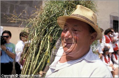 ITALY - MARTA (VT)
Festa della Madonna del Monte (14 maggio)
la festa celebra la fertilit della terra. Le antiche corporazioni
(Casenghi, Bifolchi, Villani e Pescatori) sfilano con i carri allegorici (le "Fontane") per le vie del paese e raggiungono il santuario della Madonna del Monte