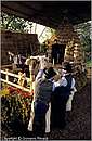 marta_madonnadelmonte0048.jpg