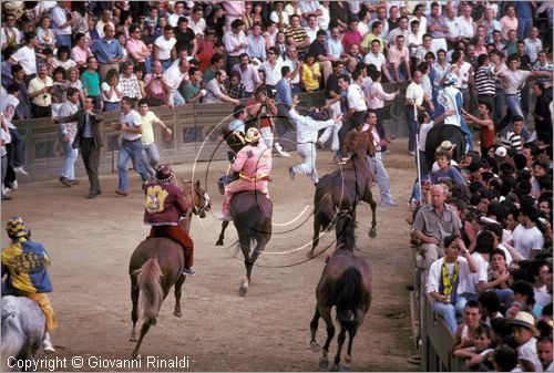 ITALY - SIENA
Il Palio (2 luglio e 16 agosto)
arrivo per Onda, Valdimontone, Torre, Tartuca e due cavalli scossi