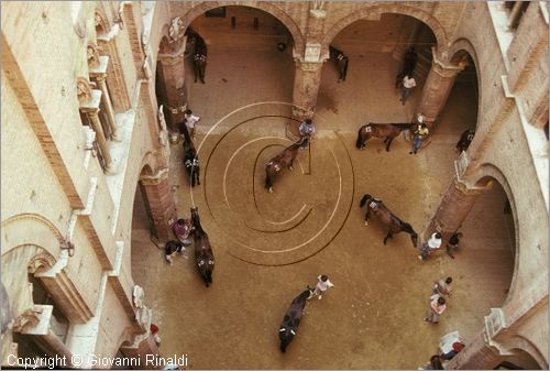 ITALY - SIENA
Il Palio (2 luglio e 16 agosto)
visita veterinaria ai cavalli nel cortile del Palazzo Pubblico per le prove di selezione che avvengono 3 giorni prima