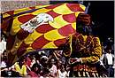 paliosiena0015.jpg