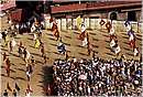 paliosiena0018.jpg