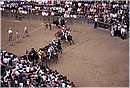 paliosiena0046.jpg