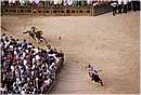 paliosiena0050.jpg