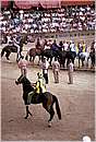 paliosiena0051.jpg