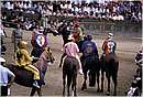 paliosiena0052.jpg
