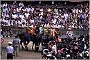 paliosiena0053.jpg